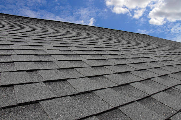 Best Steel Roofing  in Humboldt Hill, CA