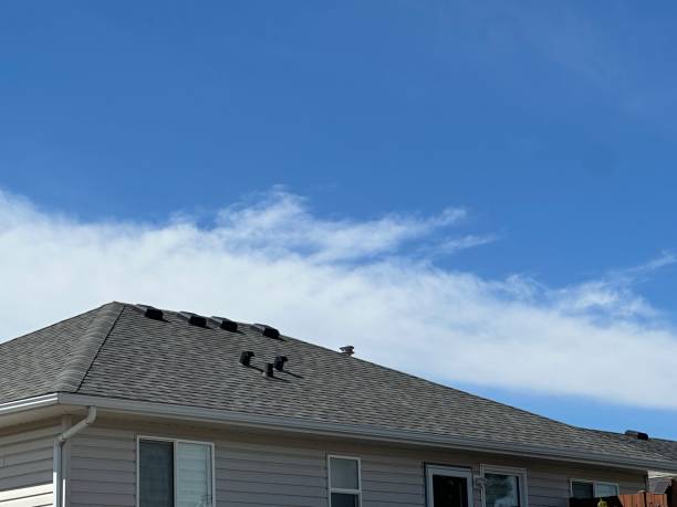 Best Asphalt Shingles Roofing  in Humboldt Hill, CA